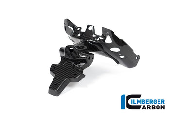 Ilmberger Carbon Fibre Number Plate Holder For BMW R 1250 R 2019-22